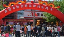 国产精品馆,匠心独运，传承与创新并重的文化瑰宝之旅